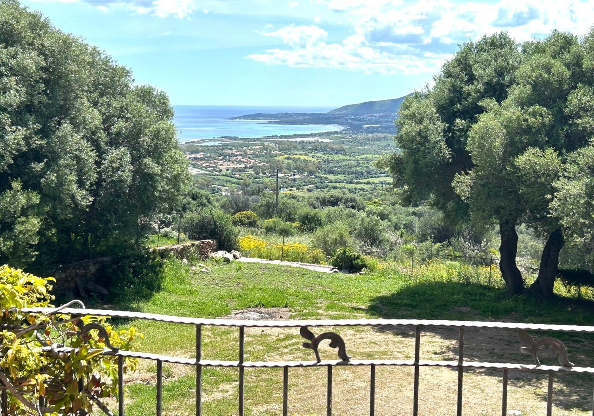 Solaria - Villa Luddui Budoni Exterior foto